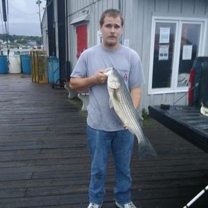 Meet your Posher, Eddie